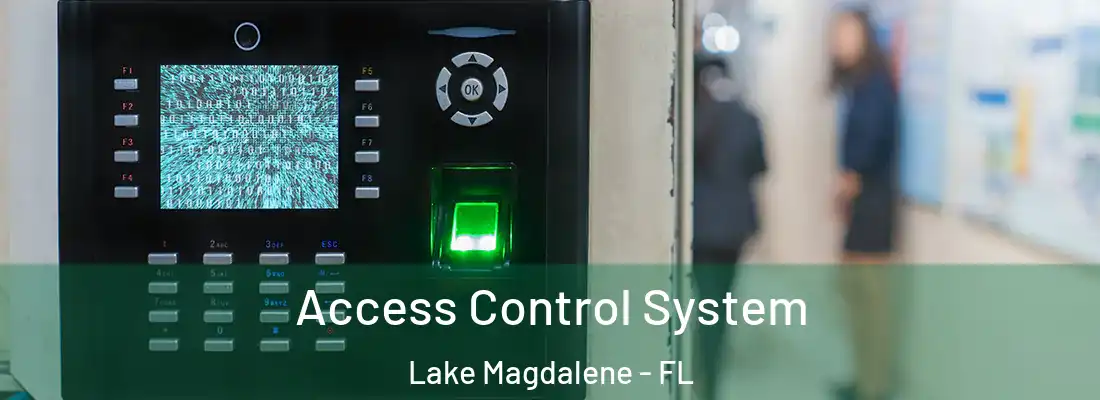 Access Control System Lake Magdalene - FL