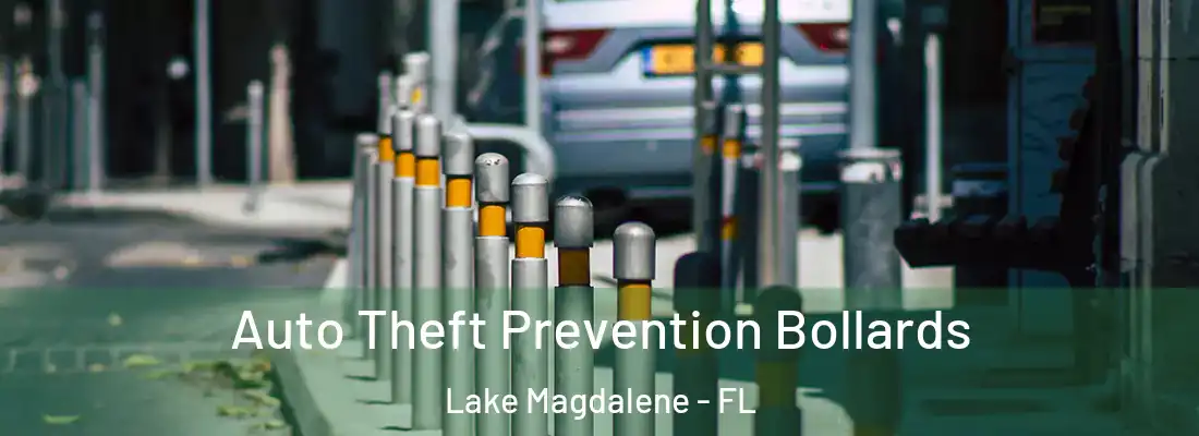  Auto Theft Prevention Bollards Lake Magdalene - FL