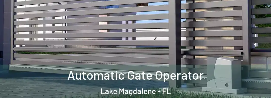 Automatic Gate Operator Lake Magdalene - FL