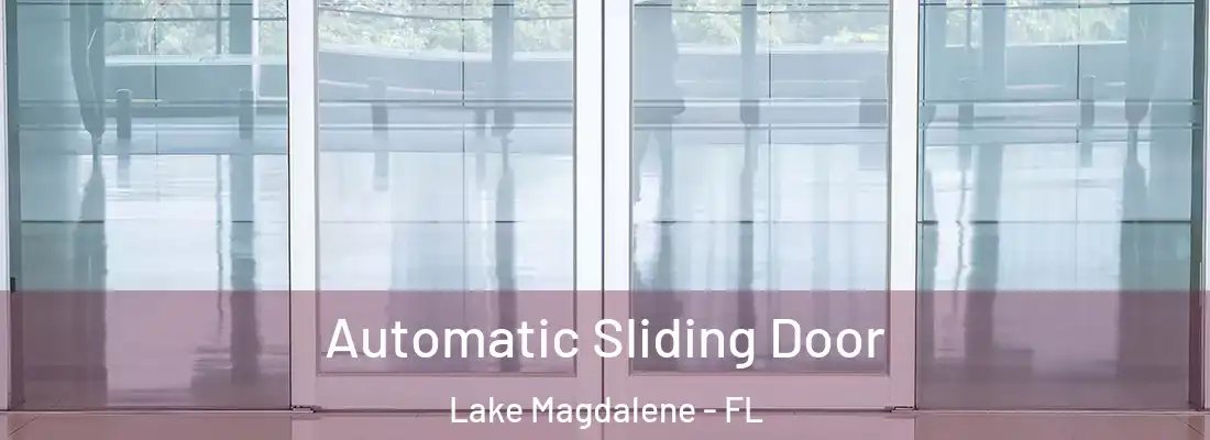 Automatic Sliding Door Lake Magdalene - FL