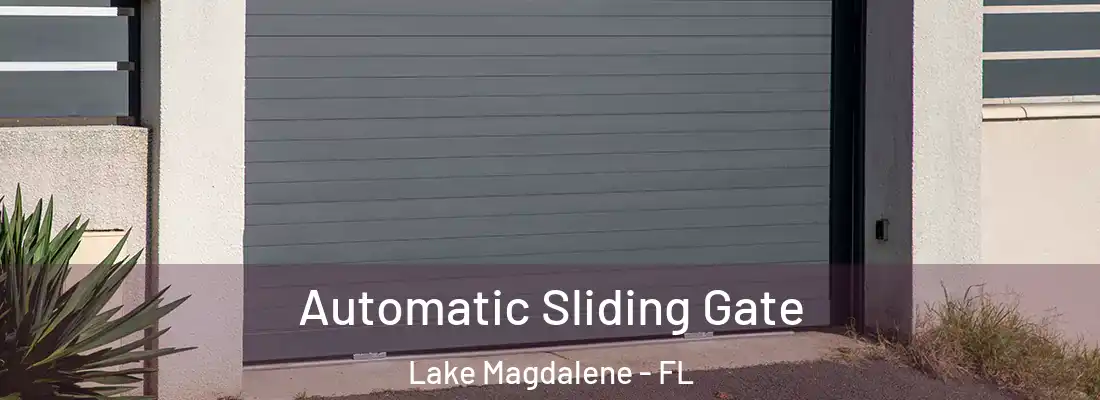 Automatic Sliding Gate Lake Magdalene - FL