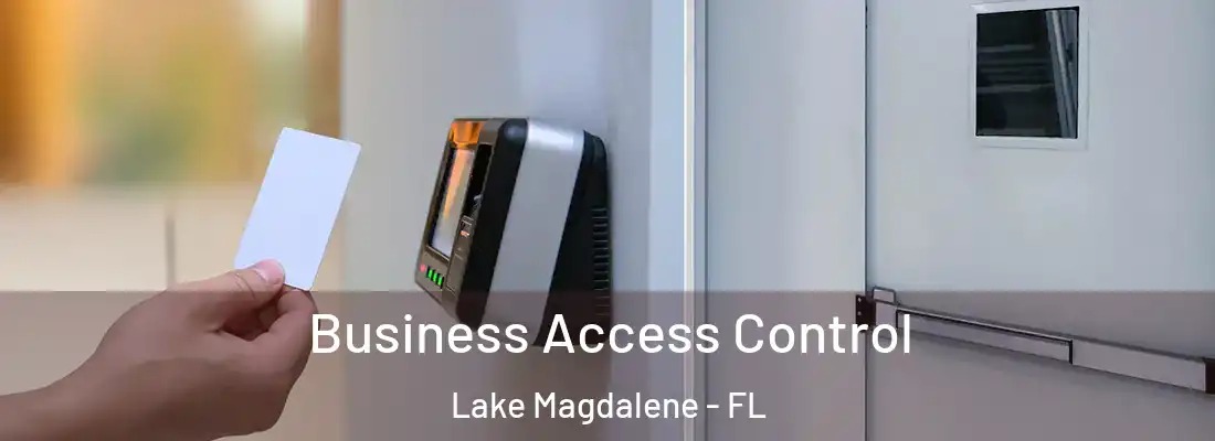 Business Access Control Lake Magdalene - FL