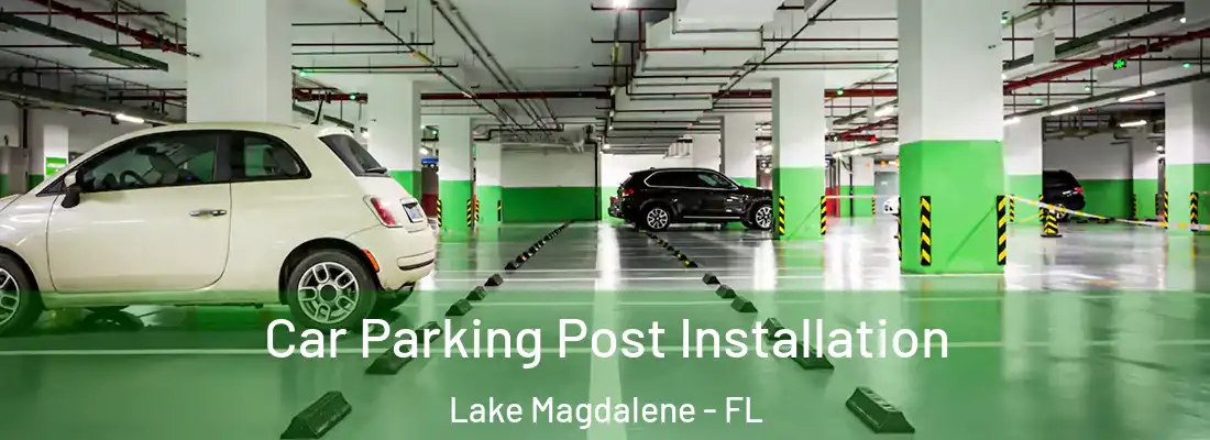  Car Parking Post Installation Lake Magdalene - FL