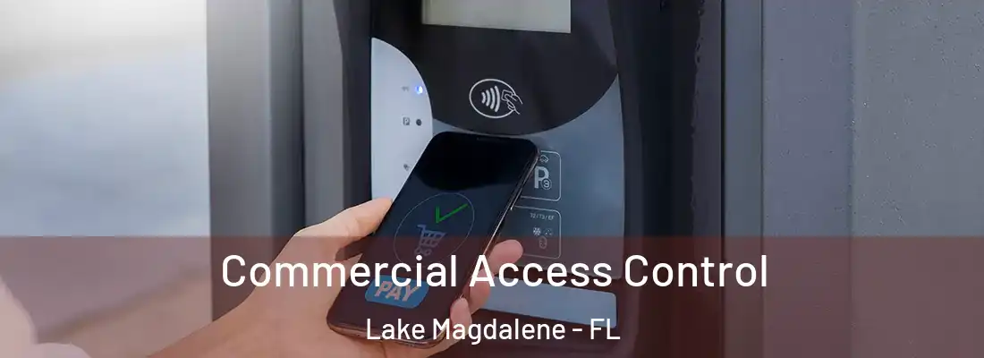  Commercial Access Control Lake Magdalene - FL
