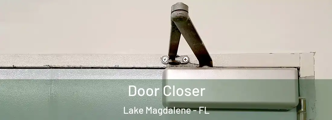  Door Closer Lake Magdalene - FL