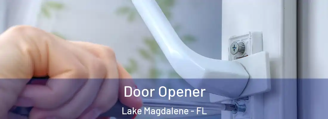  Door Opener Lake Magdalene - FL