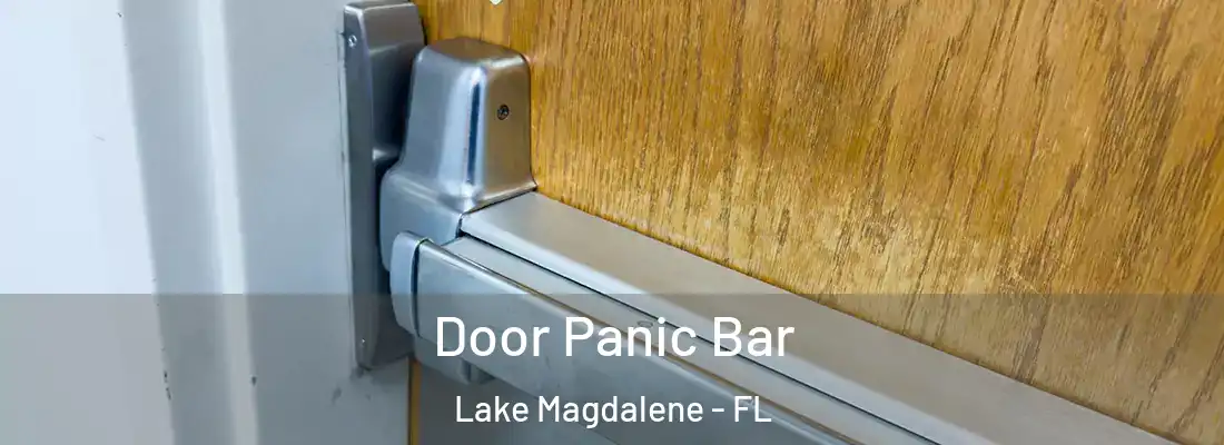  Door Panic Bar Lake Magdalene - FL