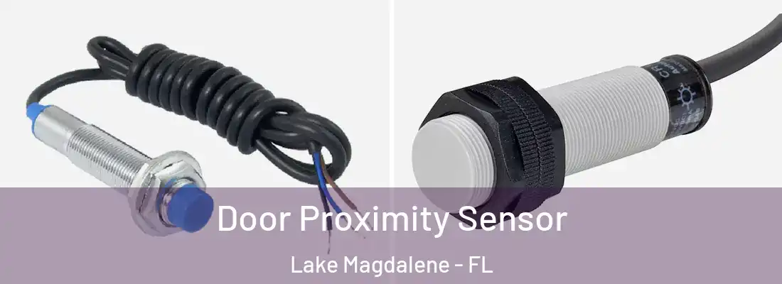 Door Proximity Sensor Lake Magdalene - FL