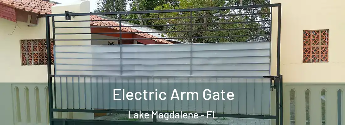  Electric Arm Gate Lake Magdalene - FL