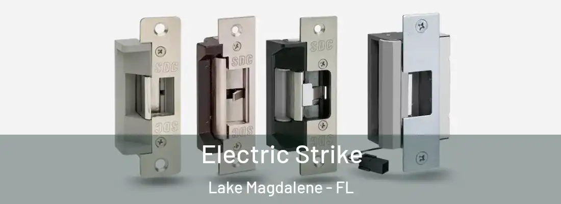  Electric Strike Lake Magdalene - FL