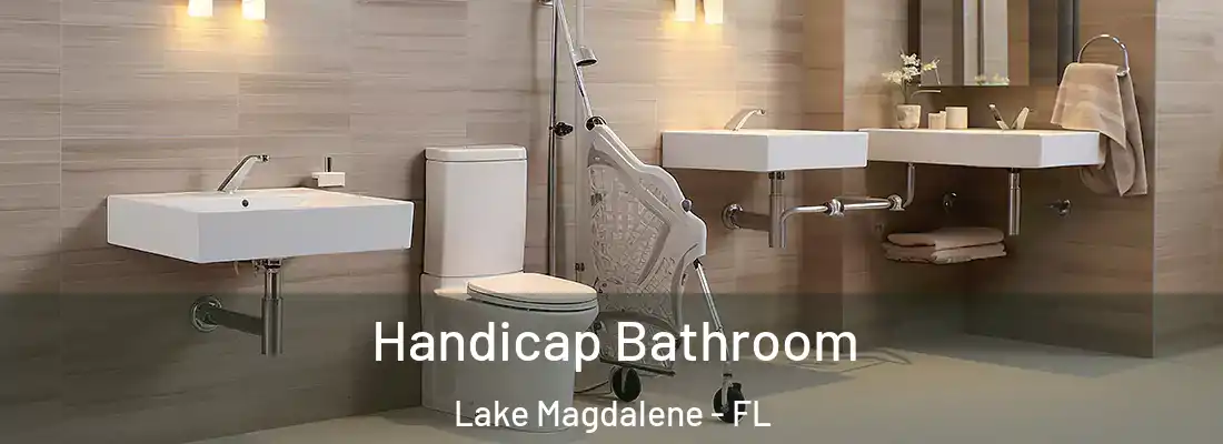  Handicap Bathroom Lake Magdalene - FL