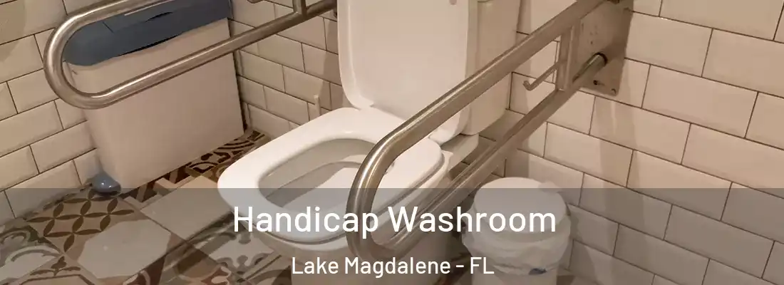  Handicap Washroom Lake Magdalene - FL
