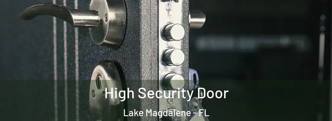  High Security Door Lake Magdalene - FL