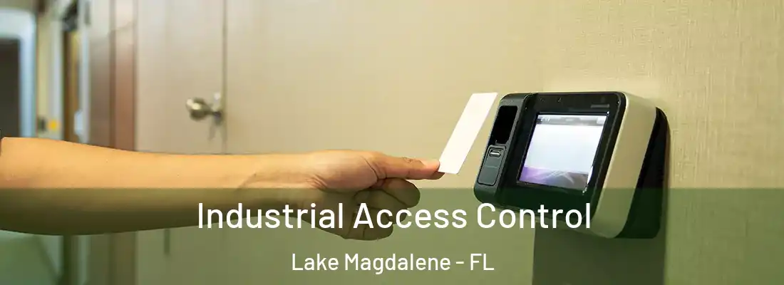  Industrial Access Control Lake Magdalene - FL
