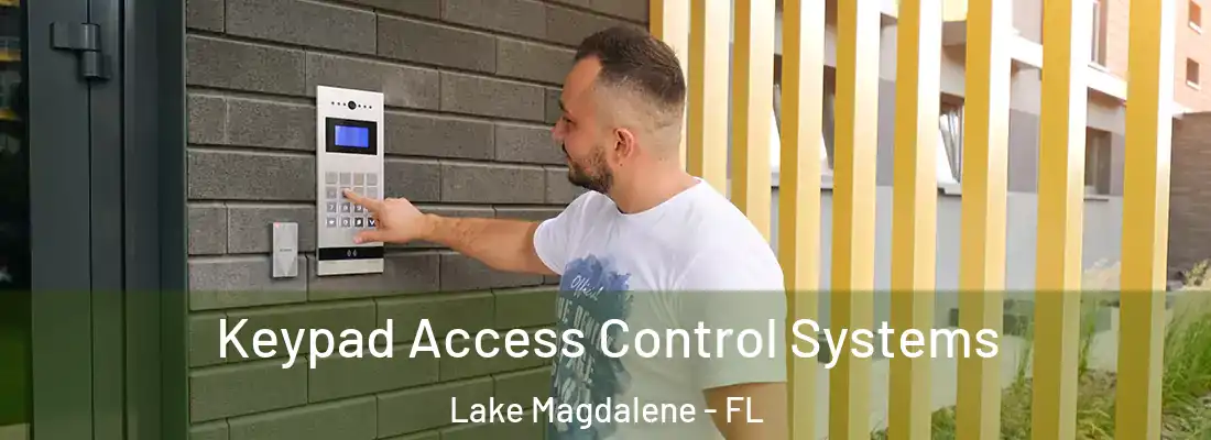Keypad Access Control Systems Lake Magdalene - FL