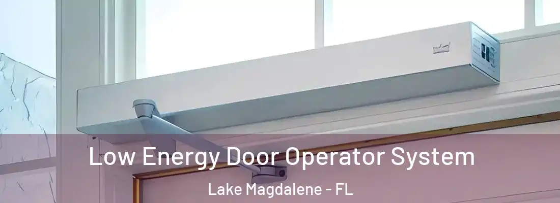 Low Energy Door Operator System Lake Magdalene - FL