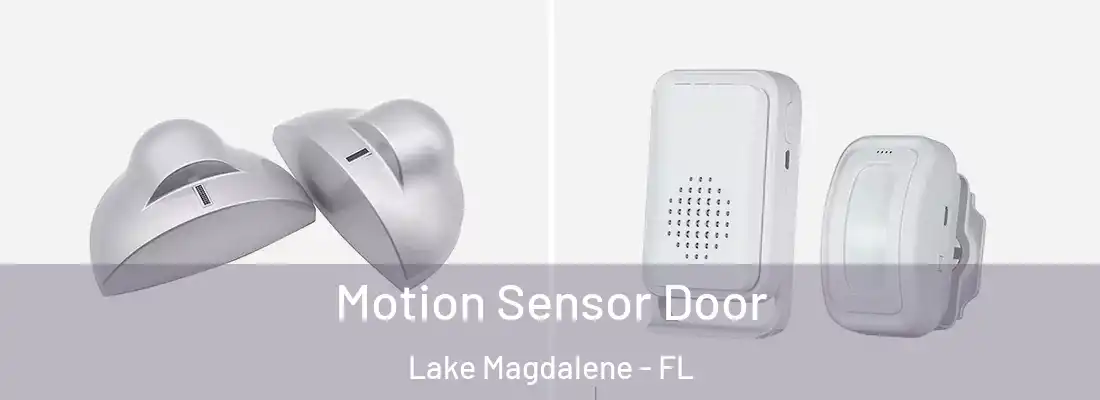 Motion Sensor Door Lake Magdalene - FL