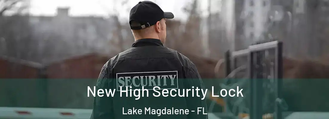 New High Security Lock Lake Magdalene - FL