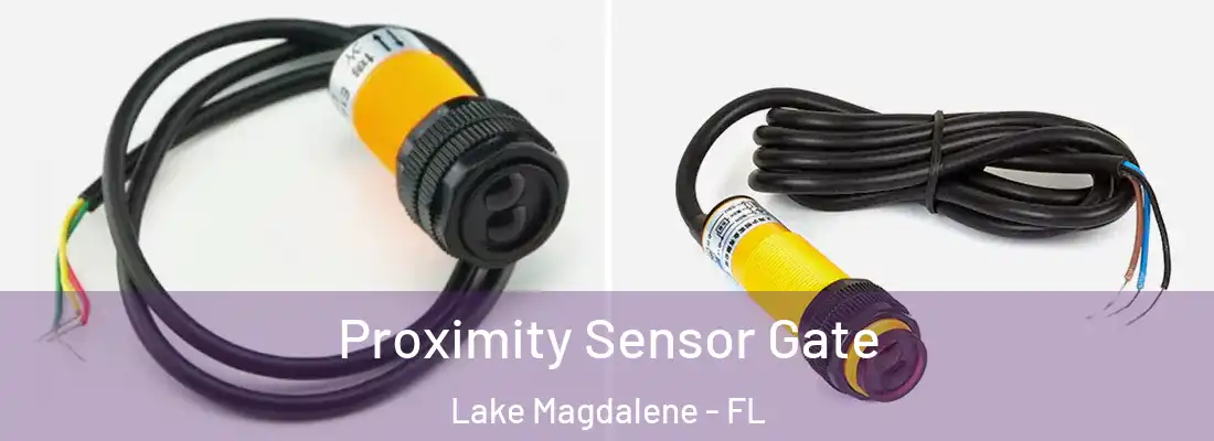 Proximity Sensor Gate Lake Magdalene - FL