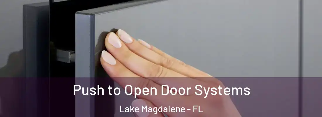 Push to Open Door Systems Lake Magdalene - FL