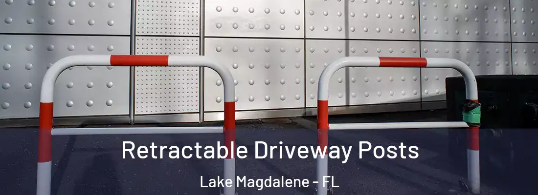Retractable Driveway Posts Lake Magdalene - FL