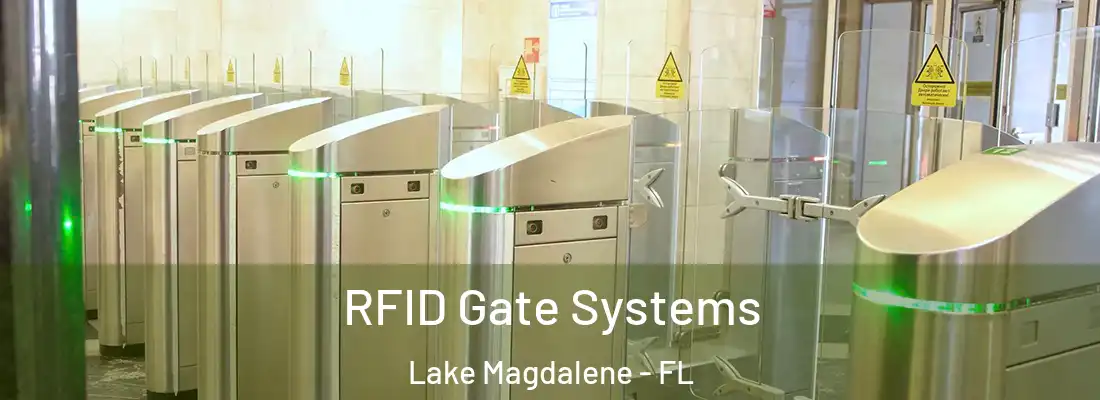RFID Gate Systems Lake Magdalene - FL