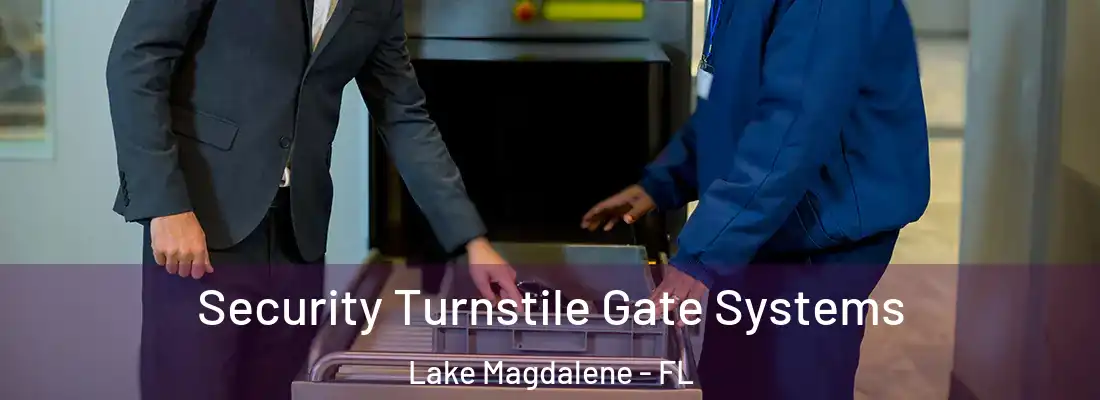 Security Turnstile Gate Systems Lake Magdalene - FL
