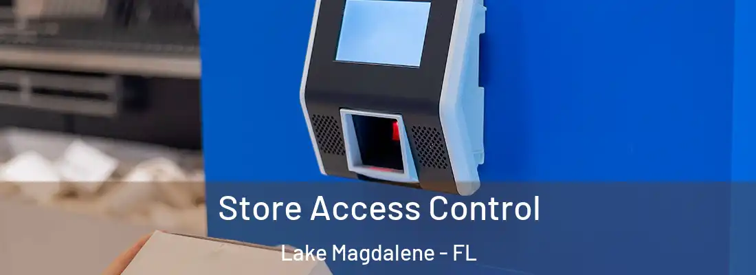 Store Access Control Lake Magdalene - FL