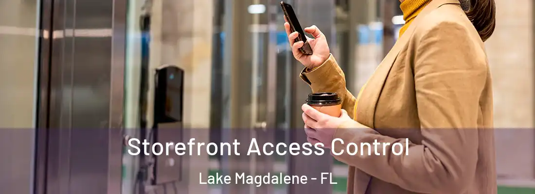 Storefront Access Control Lake Magdalene - FL