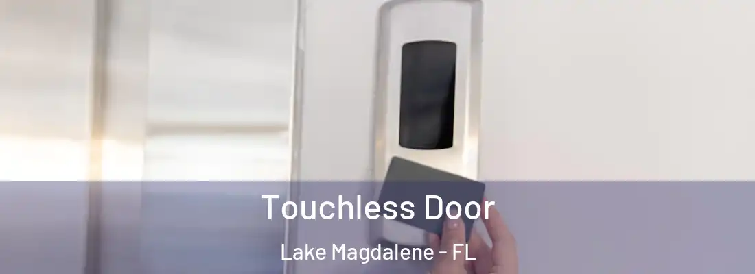  Touchless Door Lake Magdalene - FL