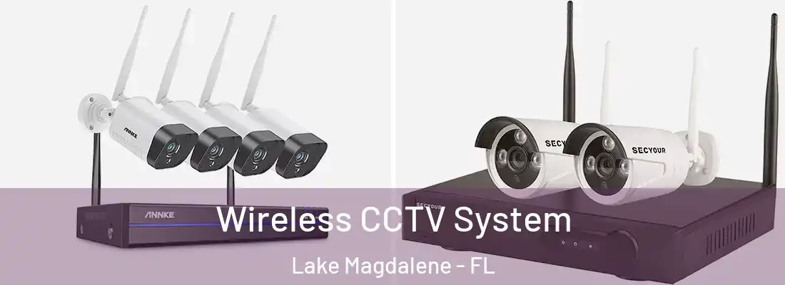 Wireless CCTV System Lake Magdalene - FL